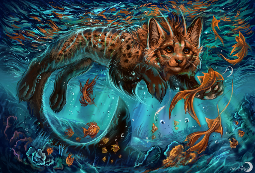 amber_eyes ambiguous_gender brown_fur day feline fish flashw fur lynx mammal marine pawpads paws solo spots underwater water whiskers