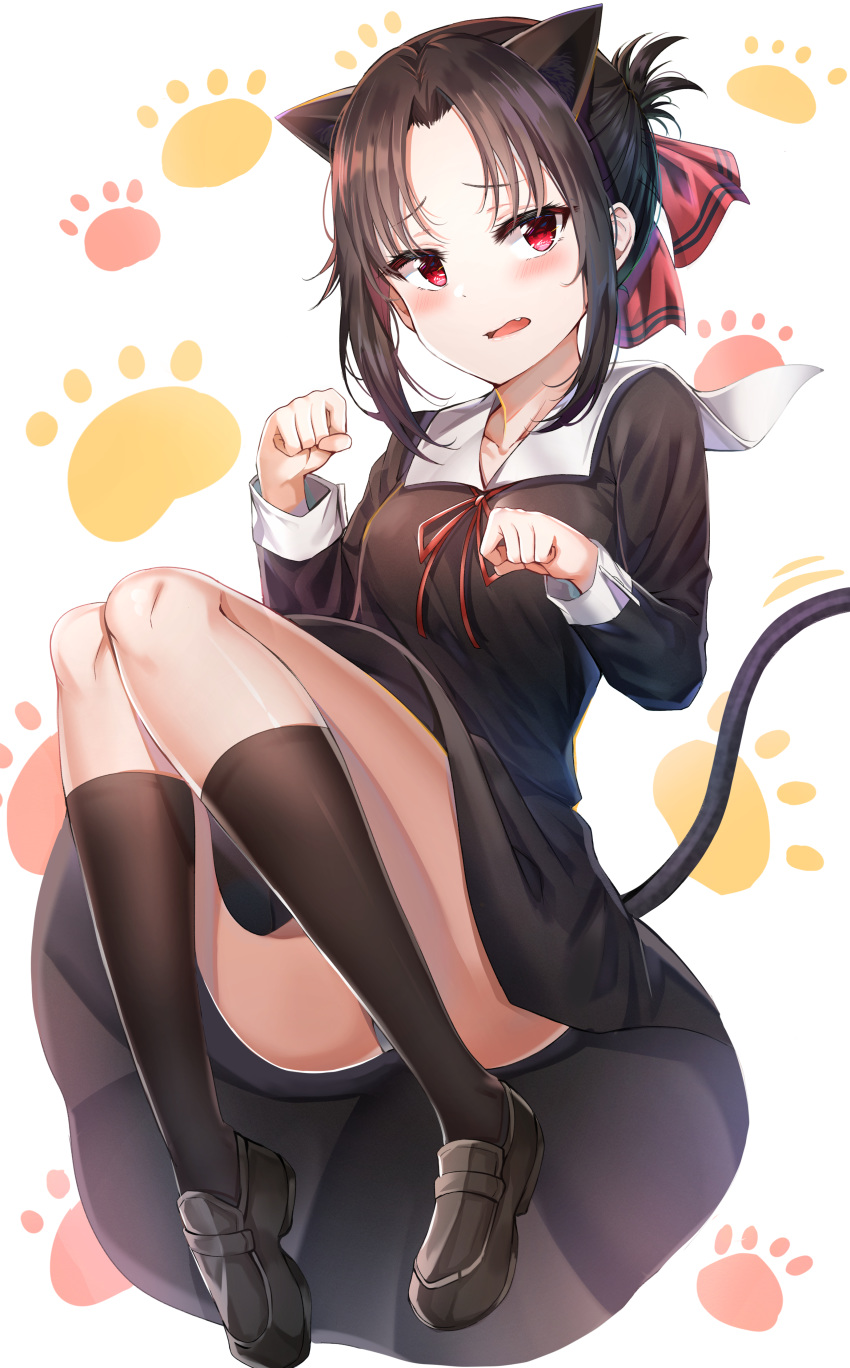 1girl absurdres animal_ears ass bangs black_dress black_footwear black_hair blush brown_legwear cat_ears cat_tail collarbone collared_dress commentary_request dress fang full_body hair_ribbon highres kaguya-sama_wa_kokurasetai_~tensai-tachi_no_renai_zunousen~ kemonomimi_mode kneehighs knees_up korean_commentary loafers long_sleeves looking_at_viewer motion_lines open_mouth panties parted_bangs paw_background paw_pose red_eyes red_neckwear red_ribbon revision ribbon shinomiya_kaguya shoes short_hair sidelocks solo sunhyun tail underwear white_background white_panties