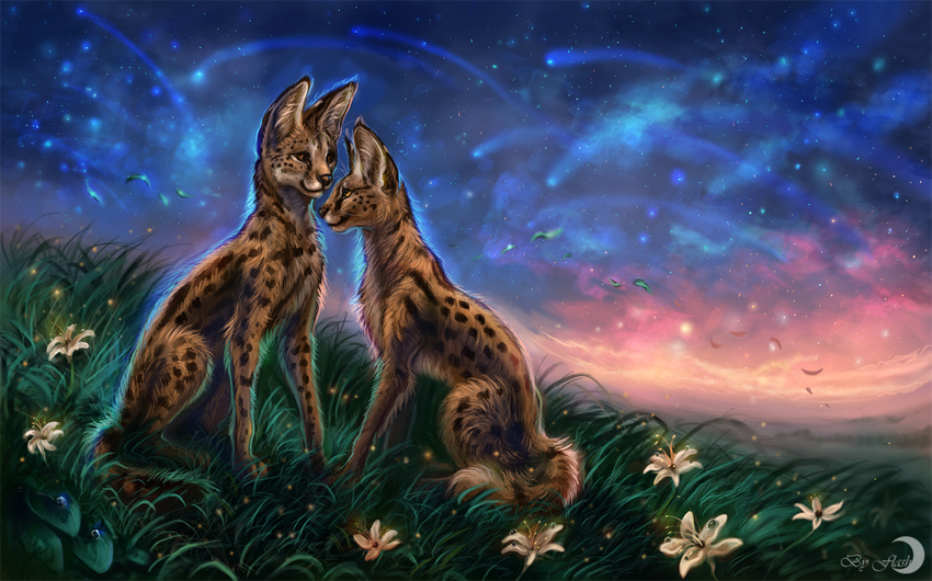 amber_eyes black_nose brown_fur cat cosmic_view duo eye_contact feline female flashw flower fur grass male mammal night outside plant serval sitting sky spots star starry_sky whiskers