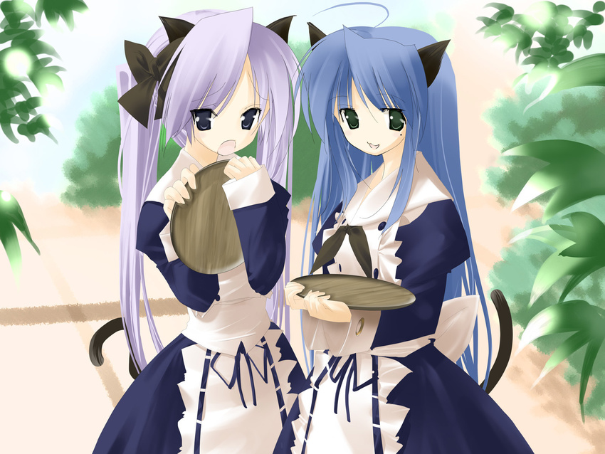 animal_ears catgirl hiiragi_kagami izumi_konata lucky_star waitress