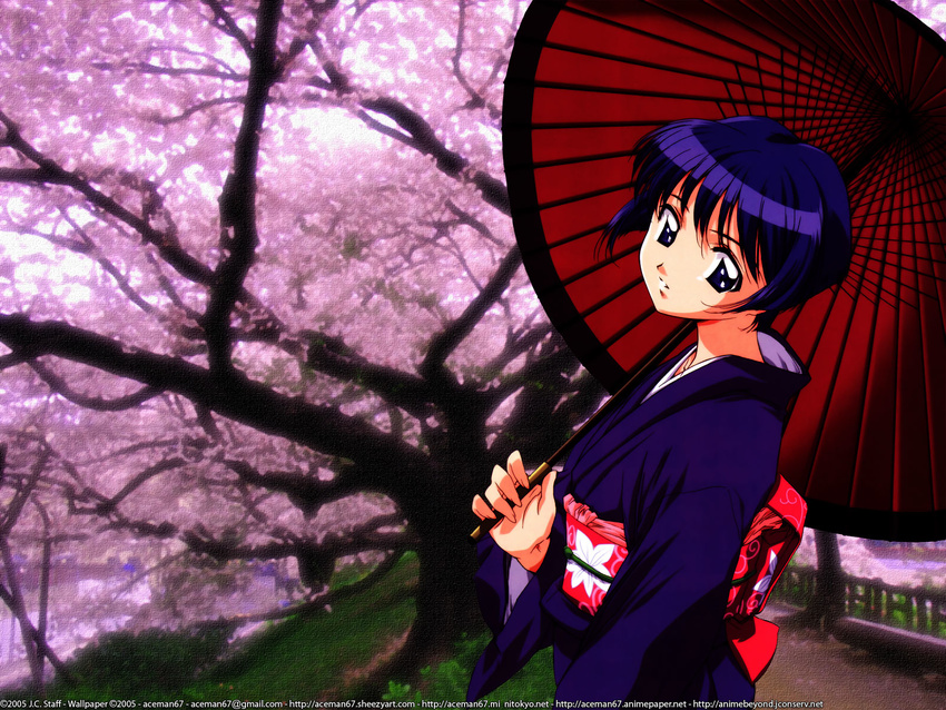 ai_yori_aoshi sakuraba_aoi tagme umbrella