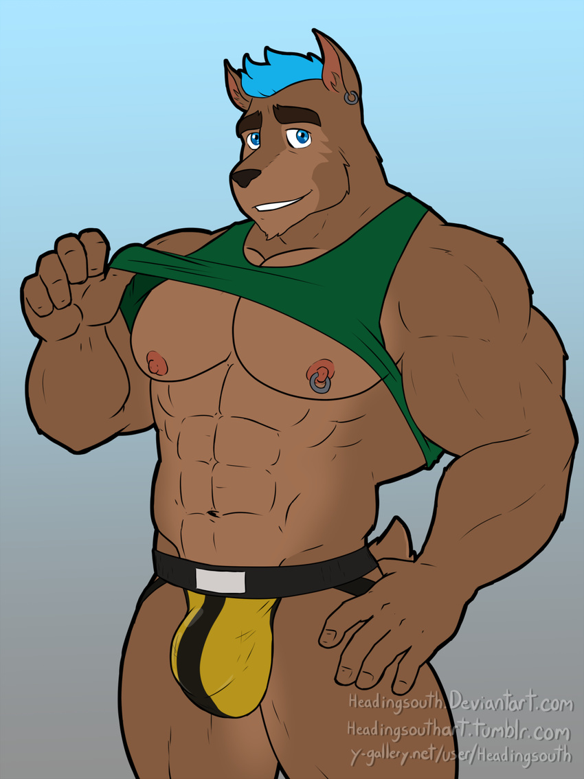 5_fingers abs alternate_version_available anthro blue_background blue_eyes blue_hair brown_fur canine clothed clothing colored dog ear_piercing fur gradient_background hair hand_on_hip headingsouth hi_res jockstrap looking_at_viewer male mammal muscular muscular_male navel nipple_piercing nipples partially_clothed piercing shirt simple_background smile solo standing tank_top underwear watermark