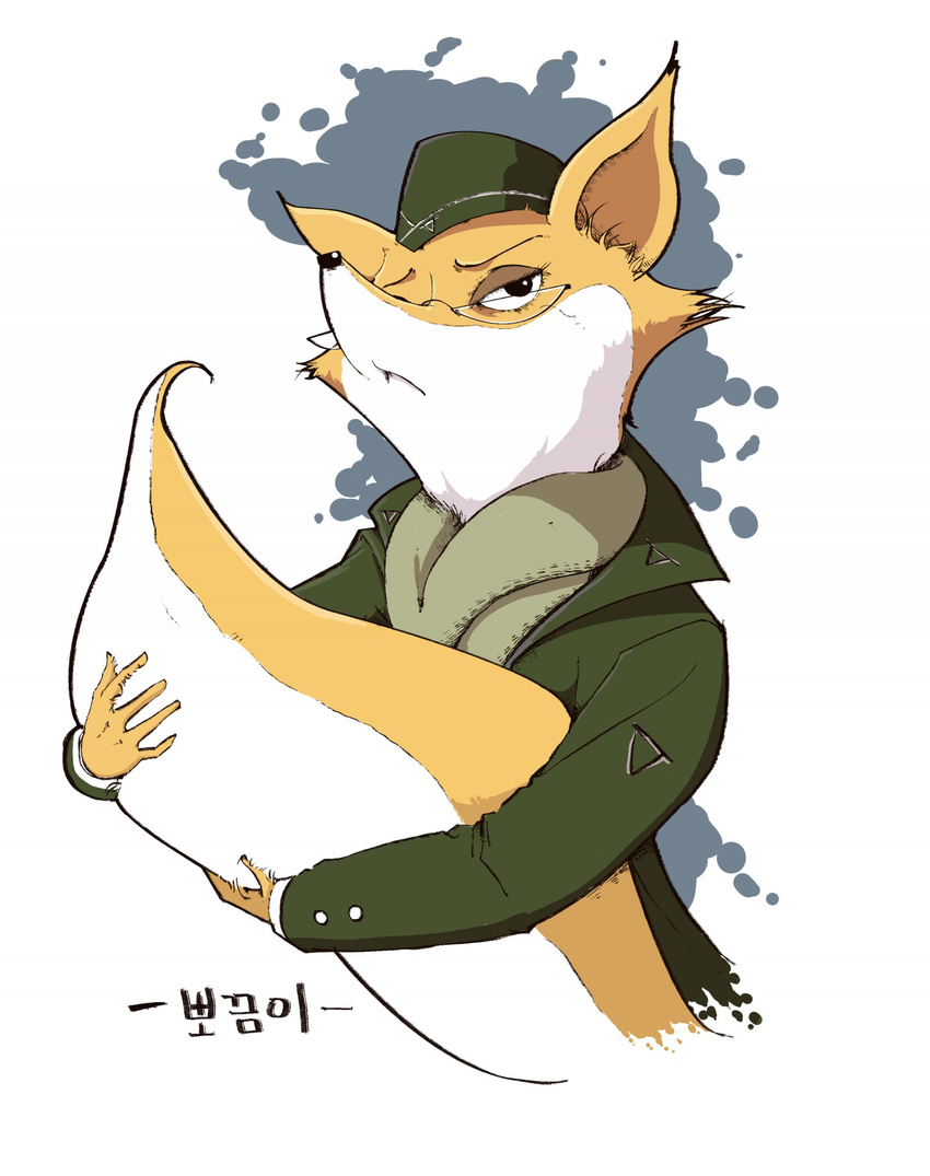 absurd_res anthro canine clothing eyelashes eyeshadow eyewear female fox glasses hat hi_res looking_at_viewer lt._fox_vixen makeup mammal military_uniform sad smile solo squirrel_and_hedgehog uniform unknown_artist 여우장교