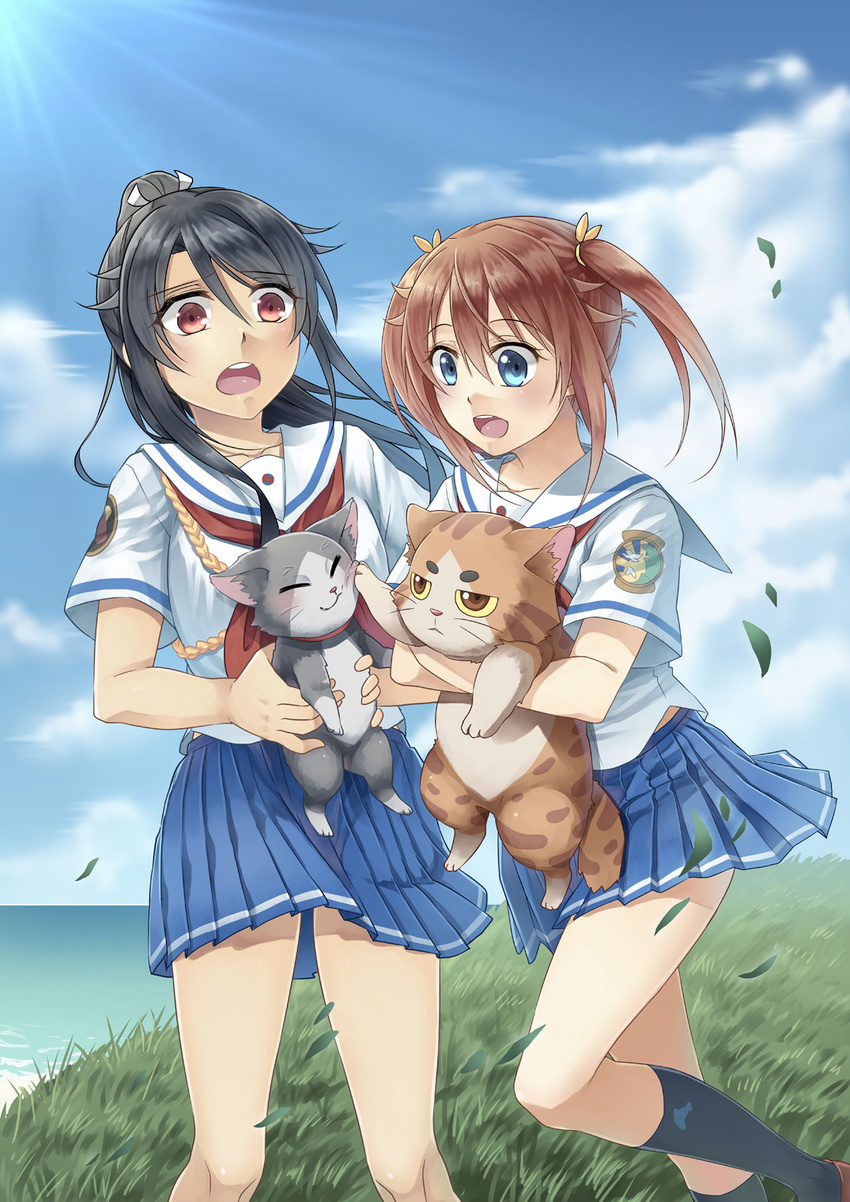 animal black_hair blue_eyes brown_hair cat day drill_hair grass high_school_fleet highres hoshiyoruno isoroku_(haifuri) long_hair misaki_akeno multiple_girls munetani_mashiro ponytail red_eyes rope school_uniform serafuku short_hair short_sleeves tamonmaru_(haifuri) twin_drills yokosuka_girls_marine_high_school_uniform