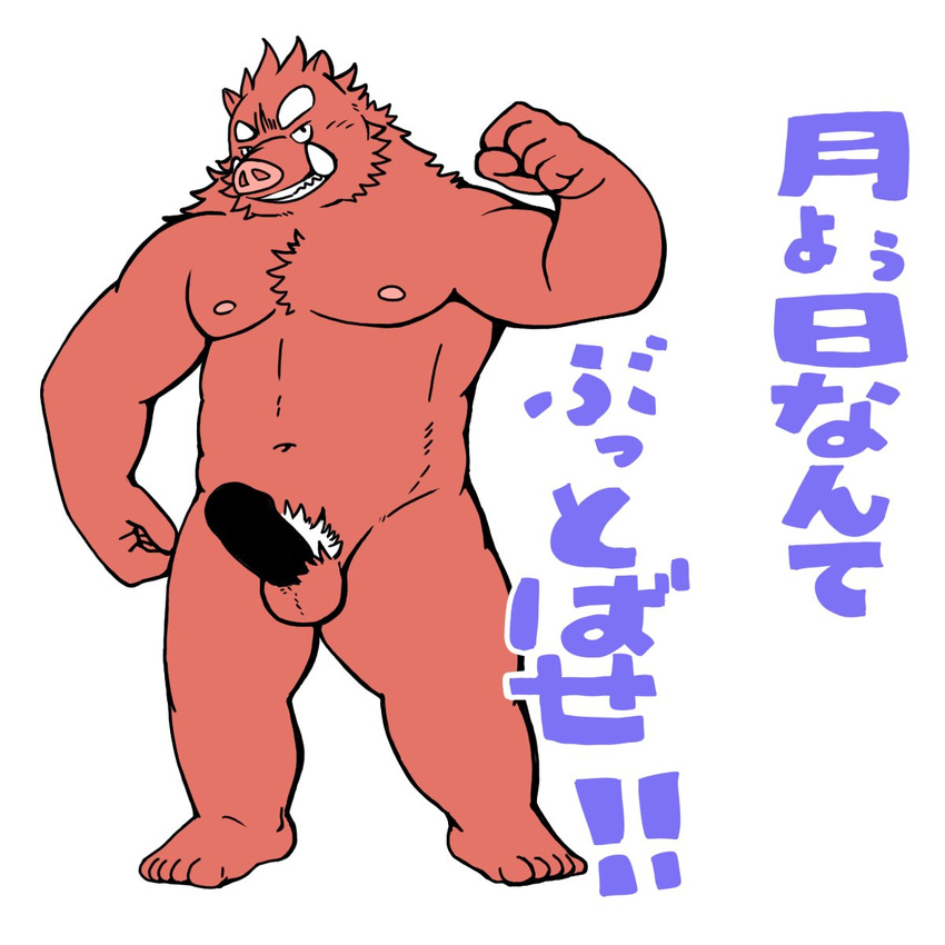 anthro balls black_penis boar brown_fur chest_tuft flexing fur hair humanoid_penis japanese_text male mammal navel nipples nude penis porcine pubes simple_background standing text toothy_grin translation_request tuft tusks white_background white_hair