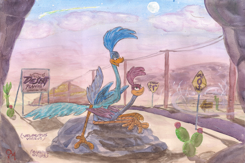 anticipation atmospheric avian cactus cloud desert female from_behind_position full_moon getting_ready hi_res looney_tunes male male/female mating_season moon perspective poles queensmate roadrunner_(looney_tunes) rock sex sign sunset traditional_media_(artwork) warner_brothers watercolor_(artwork) wings