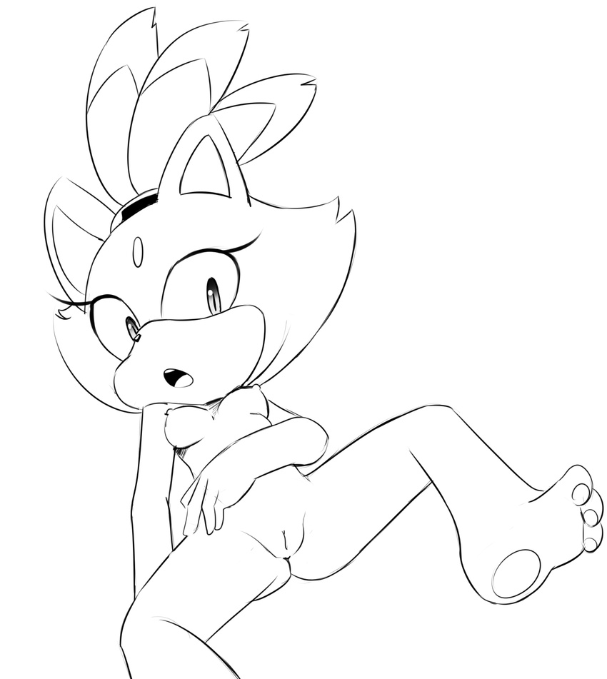 2016 anthro blaze_the_cat breasts butt cat erect_nipples feet feline female fur hearlesssoul looking_at_viewer lying mammal nipples nude on_back open_mouth presenting pussy solo sonic_(series) spread_legs spreading surprise tongue video_games