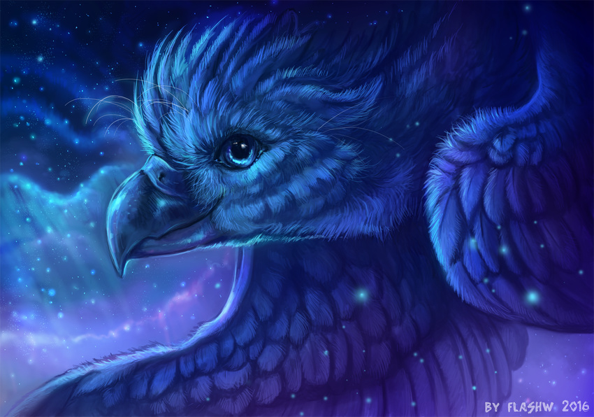 2016 ambiguous_gender avian beak bird blue_eyes blue_feathers cool_colors detailed_background feathered_wings feathers flashw looking_at_viewer outside sky solo star starry_sky wings