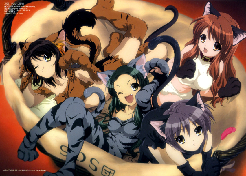 animal_ears asahina_mikuru cat_ears highres ikeda_shouko multiple_girls nagato_yuki scan suzumiya_haruhi suzumiya_haruhi_no_yuuutsu tsuruya