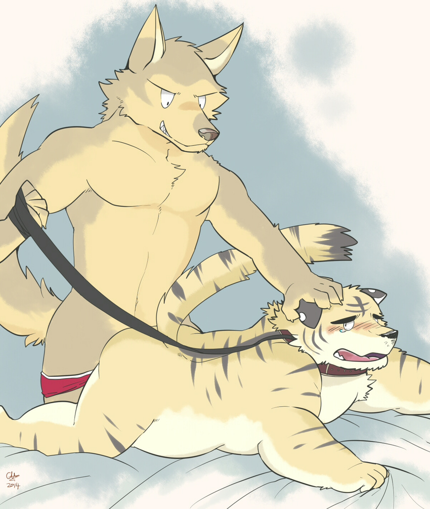 anal anal_penetration anthro blush canine collar dog domination duo feline from_behind_position ginnosuke grin hand_on_head hi_res leash male male/male mammal nude penetration petplay roleplay sex simple_background tears tiger