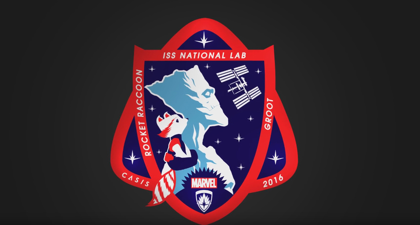 2016 casis groot guardians_of_the_galaxy international_space_station male mammal marvel mission_patch movie nasa plant plant_humanoid raccoon rocket_raccoon space star