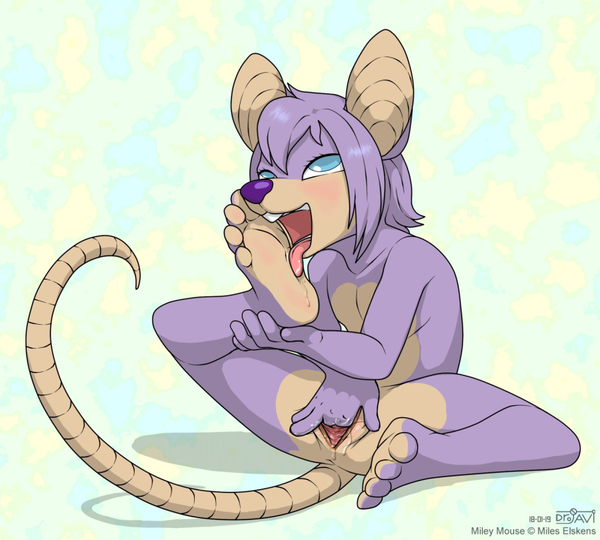 2019 4_toes 5_fingers anthro anus auto_foot_lick blue_eyes drjavi eye_roll eyelashes feet female fingering fingers flat_chested foot_fetish foot_lick fur hair half-closed_eyes humanoid_hands licking mammal masturbation miley_mouse mouse nude open_mouth purple_fur pussy pussy_juice rodent saliva simple_background sitting solo toes tongue tongue_out vaginal vaginal_fingering vaginal_masturbation