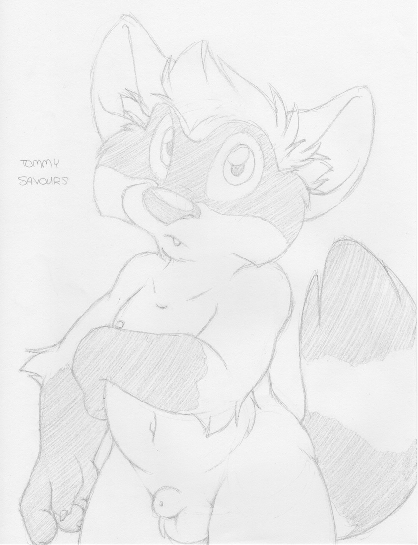 animal_genitalia anthro balls cub cute_fangs english_text fully_sheathed greyscale line_art looking_at_viewer male mammal mizzyam monochrome navel nipples pencil_(artwork) raccoon sheath slightly_chubby solo text tommy_savours traditional_media_(artwork) unsure young