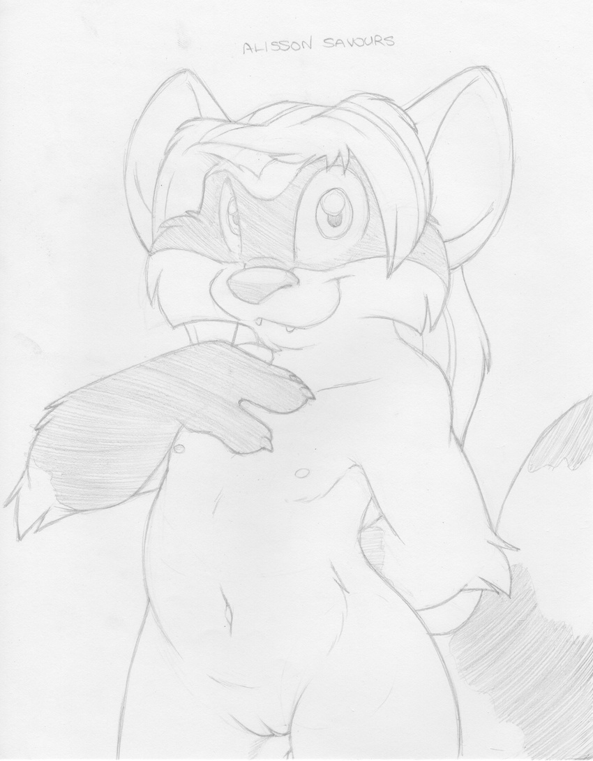 alisson_savours anthro cub cute_fangs english_text female greyscale hand_behind_back line_art looking_at_viewer mammal mizzyam monochrome navel nipples pencil_(artwork) pinup pose pussy raccoon smile solo text traditional_media_(artwork) young