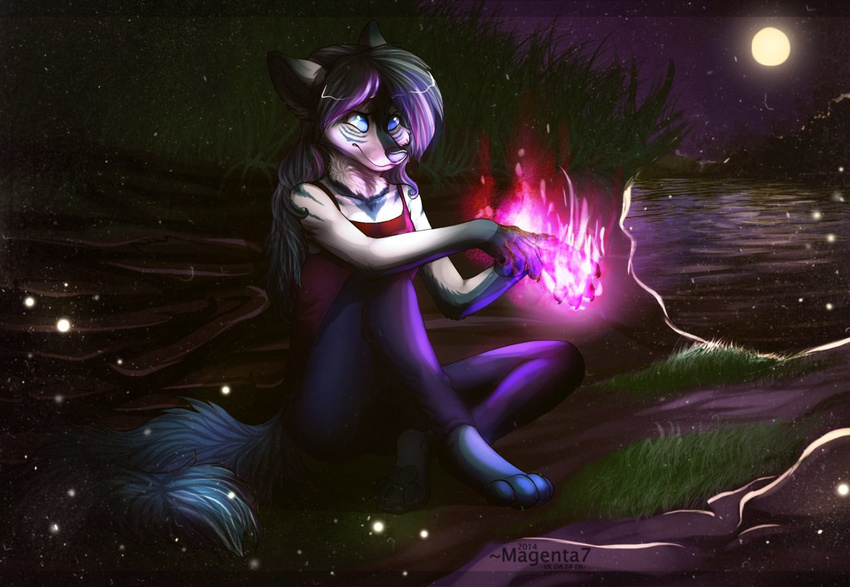 anthro canine clothed clothing female fur magenta7 magic mammal night_sky outside sitting solo