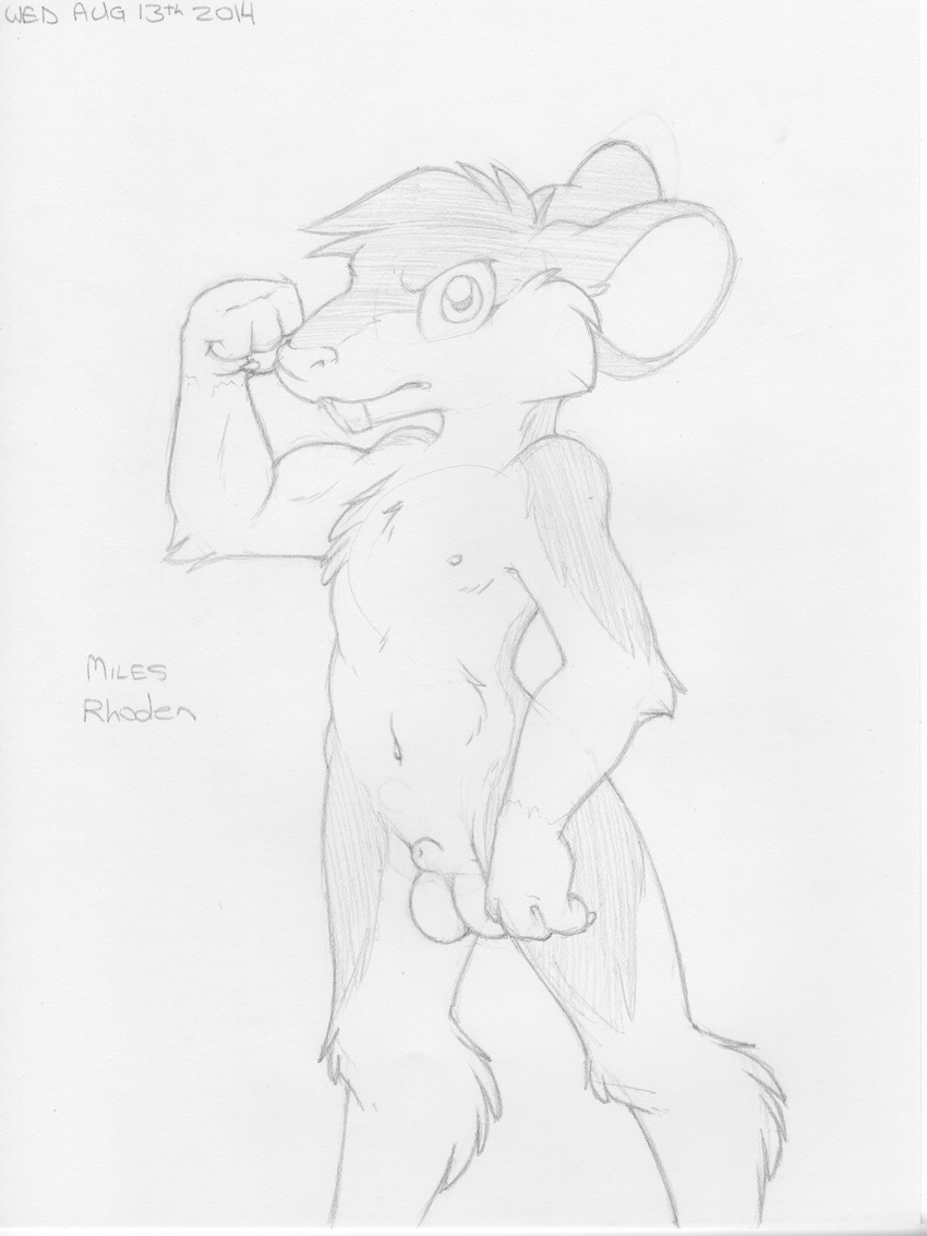 2014 animal_genitalia anthro balls buckteeth cub english_text flexing front_view frown fully_sheathed greyscale line_art looking_at_viewer male mammal miles_rhoden mizzyam monochrome navel nipples nude pencil_(artwork) rat rodent sheath solo standing teeth text traditional_media_(artwork) young