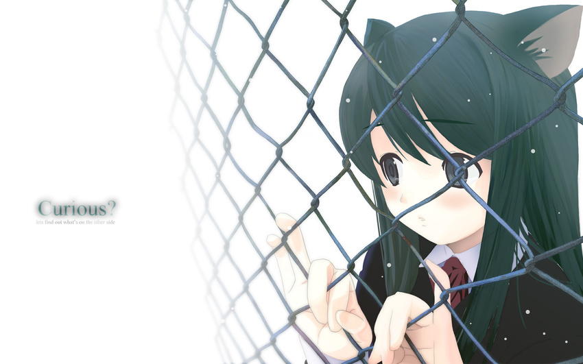 animal_ears catgirl fence tagme white