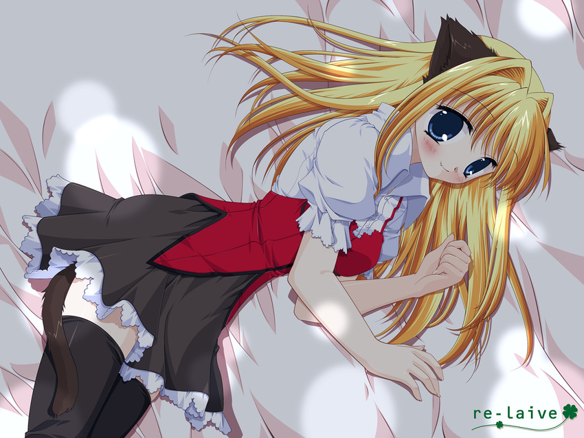 animal_ears bed catgirl fang tagme thigh-highs