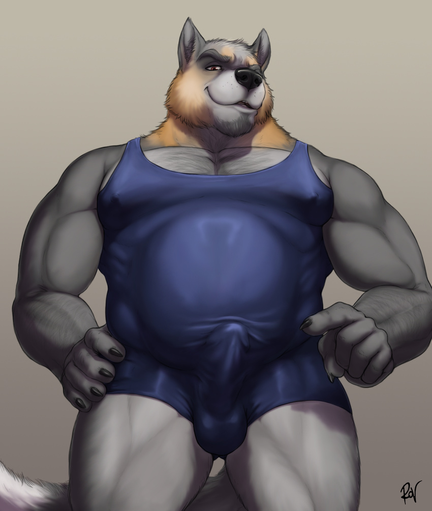 2016 5_fingers anthro biceps black_nose brown_eyes bulge canine claws clothed clothing digital_media_(artwork) fox front_view fur grey_fur hand_on_hip hi_res looking_at_viewer male mammal manly multicolored_fur musclegut muscular muscular_male nipple_bulge pecs penis_outline pointing portrait raised_eyebrow rov signature simple_background slightly_chubby smile solo standing tan_fur three-quarter_portrait wrestling_singlet