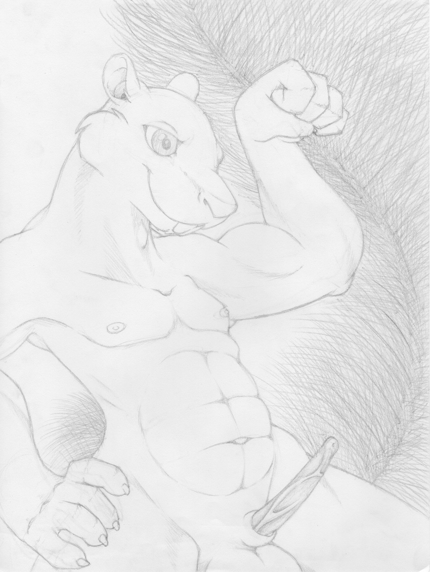 abs animal_genitalia anthro armpits balls buckteeth erection flexing fluffy fluffy_tail front_view greyscale hand_on_hip leaning leaning_back line_art male mammal mizzyam monochrome muscular nipples nude pecs pencil_(artwork) penis pinup pose rodent sheath smile solo tapering_penis teeth traditional_media_(artwork) unknown_species vein veiny_penis