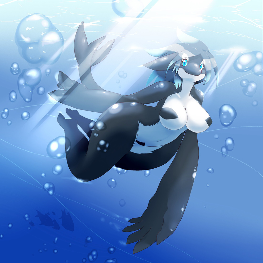 big_breasts blue_eyes blue_hair blue_theme breasts bubble cetacean featureless_breasts female fim_10ten hair hi_res looking_at_viewer mammal marine nude orca solo_focus swimming underwater water whale