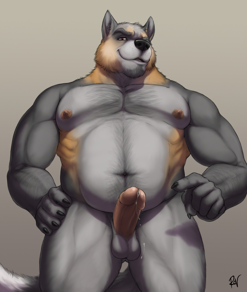 2016 5_fingers anthro balls biceps black_nose brown_eyes brown_nipples canine claws digital_media_(artwork) erection fox front_view fur grey_fur hand_on_hip hi_res humanoid_penis looking_at_viewer male mammal manly multicolored_fur musclegut muscular muscular_male navel nipples nude pecs penis pointing portrait precum raised_eyebrow rov signature simple_background slightly_chubby smile solo standing tan_fur three-quarter_portrait