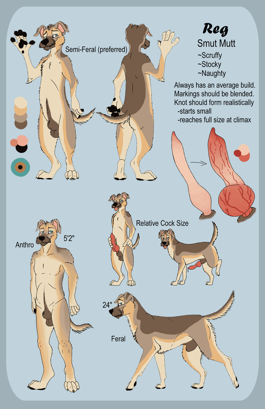 anatomically_correct animal_genitalia animal_penis anthro balls butt canine canine_penis cum dog erection feral fur half-closed_eyes hi_res knot looking_at_viewer male mammal model_sheet nude penis reg regsmutt simple_background smile solo tongue