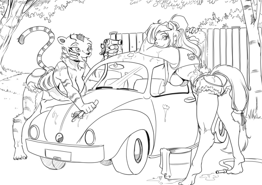 2016 anthro bent_over breasts bucket bucky_o'hare_(series) car cat cleavage clothed clothing duo feline female fence fur halter_top holding_object hose jenny_(bucky_o'hare) kung_fu_panda looking_at_viewer looking_back mammal master_tigress monochrome open_mouth open_smile outside pigtails shorts skimpy smile sponge tiger towel under_boob vehicle volkswagen wet wet_fur yawg