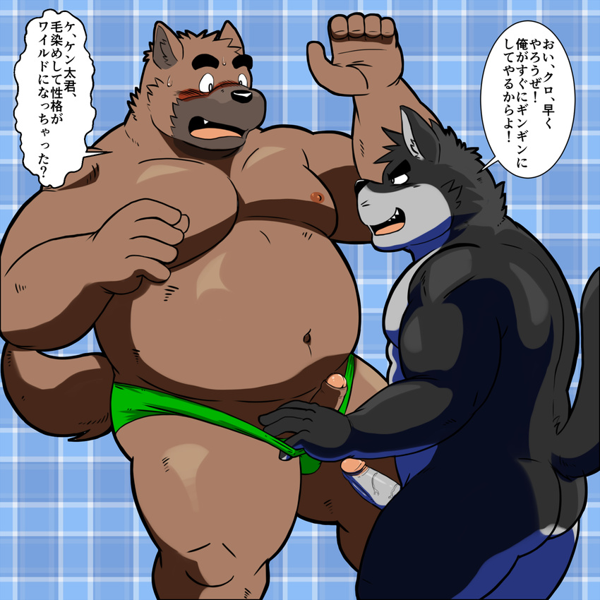 anthro blush canine embarrassed erection japanese_text male male/male mammal overweight penis shiba-kenta smile text underwear_pull