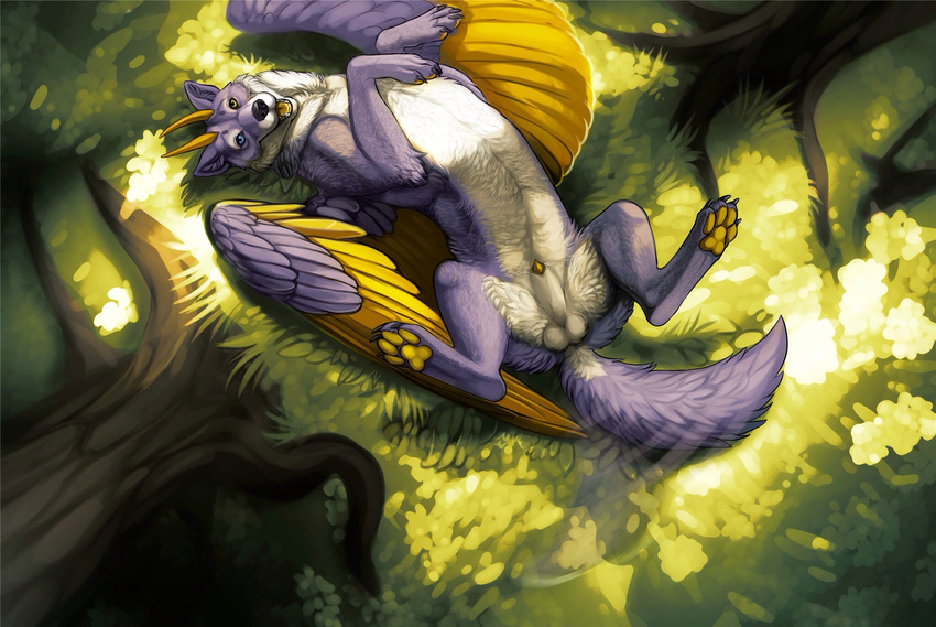 2016 4_fingers 4_toes abstract_background anatomically_correct_genitalia animal_genitalia bent_arm bent_legs bird's-eye_view black_claws blue_eyes blue_feathers blue_fur canine claws day digital_media_(artwork) digital_painting_(artwork) digitigrade dragon feathered_wings feathers feral forest fur gold_horns grass heterochromia hi_res high-angle_view hybrid legionaire legs_up looking_at_viewer lying male mammal multicolored_fur on_back open_mouth pawpads penis penis_tip pinup pose presenting quadruped raised_arm realistic shaded sheath simple_background small_balls smooth_horns solo tailwag theowlette toes tree two_tone_fur white_fur wings wolf yellow_eyes yellow_feathers yellow_pawpads yellow_penis yellow_tongue