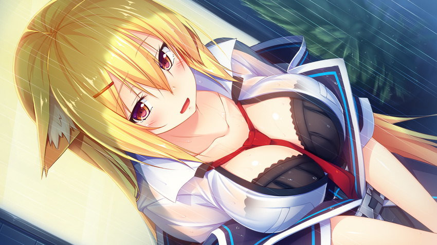 1girl animal_ears aristear_remain astronauts astronauts_comet black_bra blonde_hair blush bra breasts cleavage collarbone collared_shirt dutch_angle fox_ears game_cg highres kanzaki_eruza kokusan_moyashi large_breasts long_hair looking_away outdoors parted_lips rain red_eyes rozea solo standing water wet wet_clothes