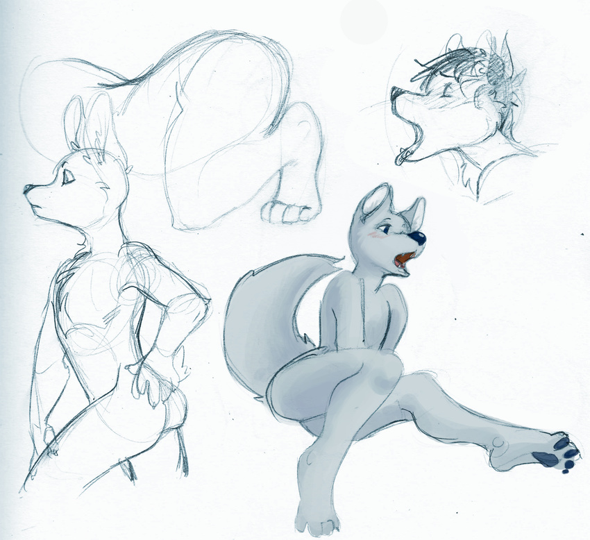 4_toes ambiguous_gender bent_over canine ethriol fur grey_fur mammal nude open_mouth pawpads sketch toes tongue tongue_out traditional_media_(artwork) wolf