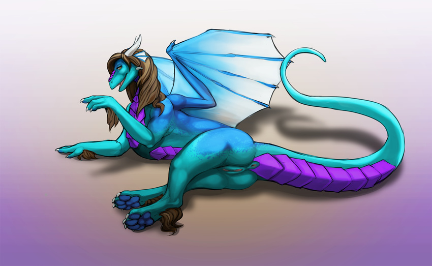 2016 4_fingers 4_toes anatomically_correct animal_genitalia anus arm_support bent_arm big_thighs biped blue_pawpads blue_scales brown_hair cheek_spikes claws crossed_legs curved_horns cyan_scales digital_media_(artwork) digital_painting_(artwork) dragon ear_fins feral fin foreshortening genital_slit grey_background hair happy heel_tuft herm hi_res horn intersex long_hair long_neck long_tail looking_at_viewer lying maleherm mane_hair membranous_wings multicolored_scales on_floor on_side one_arm_raised open_mouth pawpads pinup pose prehensile_tail presenting_genitals purple_scutes quadruped ryken scales semi-anthro shaded shadow simple_background slit snout soft_shading solo theowlette thick_tail toes tuft two_tone_scales western_dragon white_claws white_horn wings wrist_tuft yellow_eyes