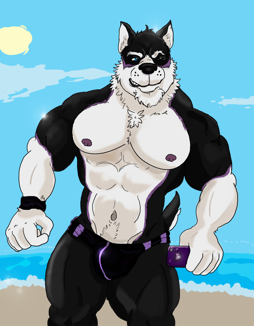 beach canine clothing dog husky loop_the_jobber_dog male mammal muscular one_eye_closed seaside sebastian_king speedo swimsuit wink