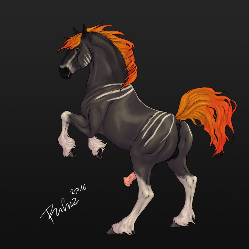 2016 anatomically_correct anatomically_correct_anus anatomically_correct_penis animal_genitalia animal_penis anus backsack balls black_background black_eyes black_fur digital_media_(artwork) equine equine_penis erection feathering feral fur hi_res hooves horse looking_at_viewer male mammal mane multicolored_fur on_hind_legs penis perineum puffy_anus quadruped raised_tail rufciu signature simple_background solo two_tone_fur underhoof vein veiny_penis white_fur