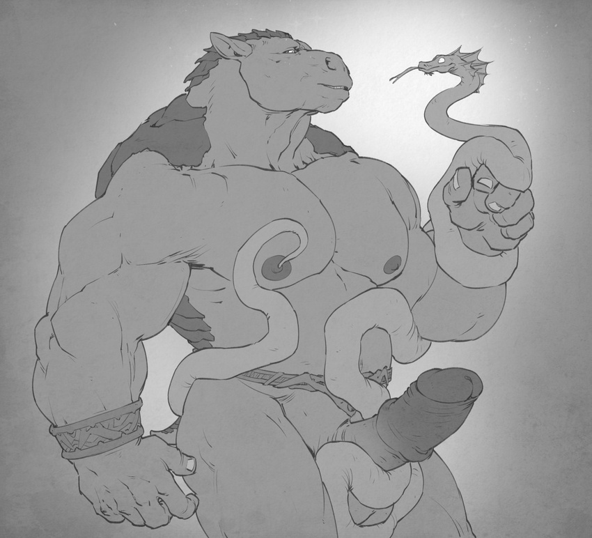 anthro balls belt big_muscles bracelet breath_of_fire coiling duo erection eye_contact forge_(artist) forked_tongue glans greyscale jewelry male mammal medial_ring monochrome muscular nipples nude pangolin penis portrait rand_(breath_of_fire) reptile retracted_foreskin scalie size_difference smile snake solo_focus standing three-quarter_portrait tongue uncut video_games