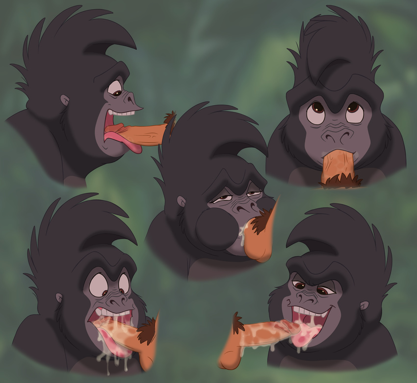 ape bestiality cum cum_in_mouth cum_inside deep_throat fellatio feral gorilla mammal oral primate saliva sex tagme tarzan terk the_giant_hamster tongue