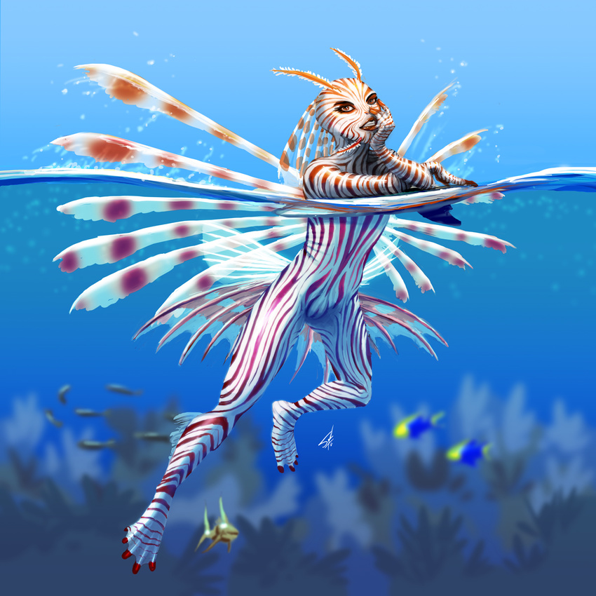 animal_genitalia anthro avatea cloaca fin fish lionfish male marine seraph slit water webbed_feet webbed_hands