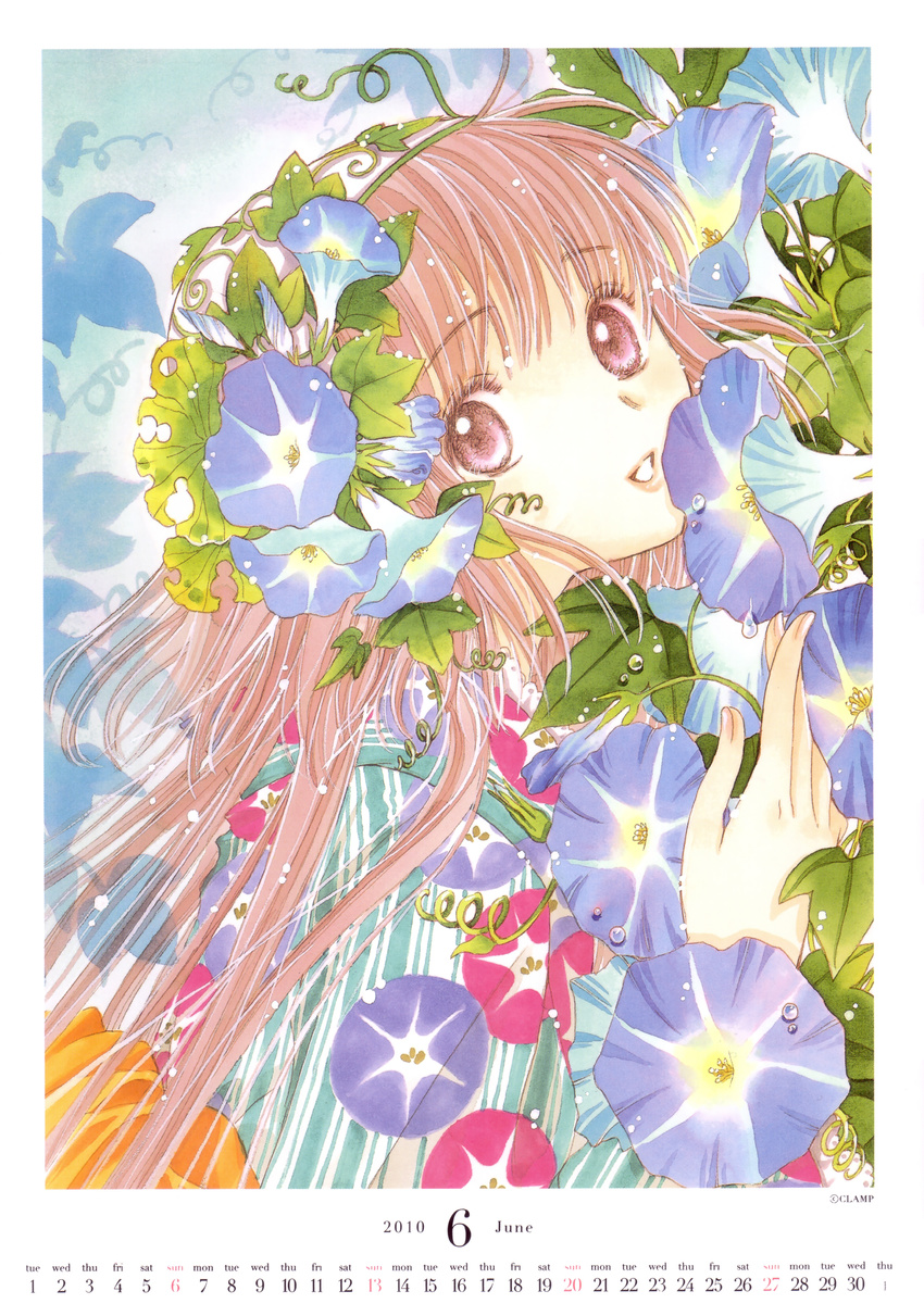 calendar clamp hanato_kobato kobato tagme