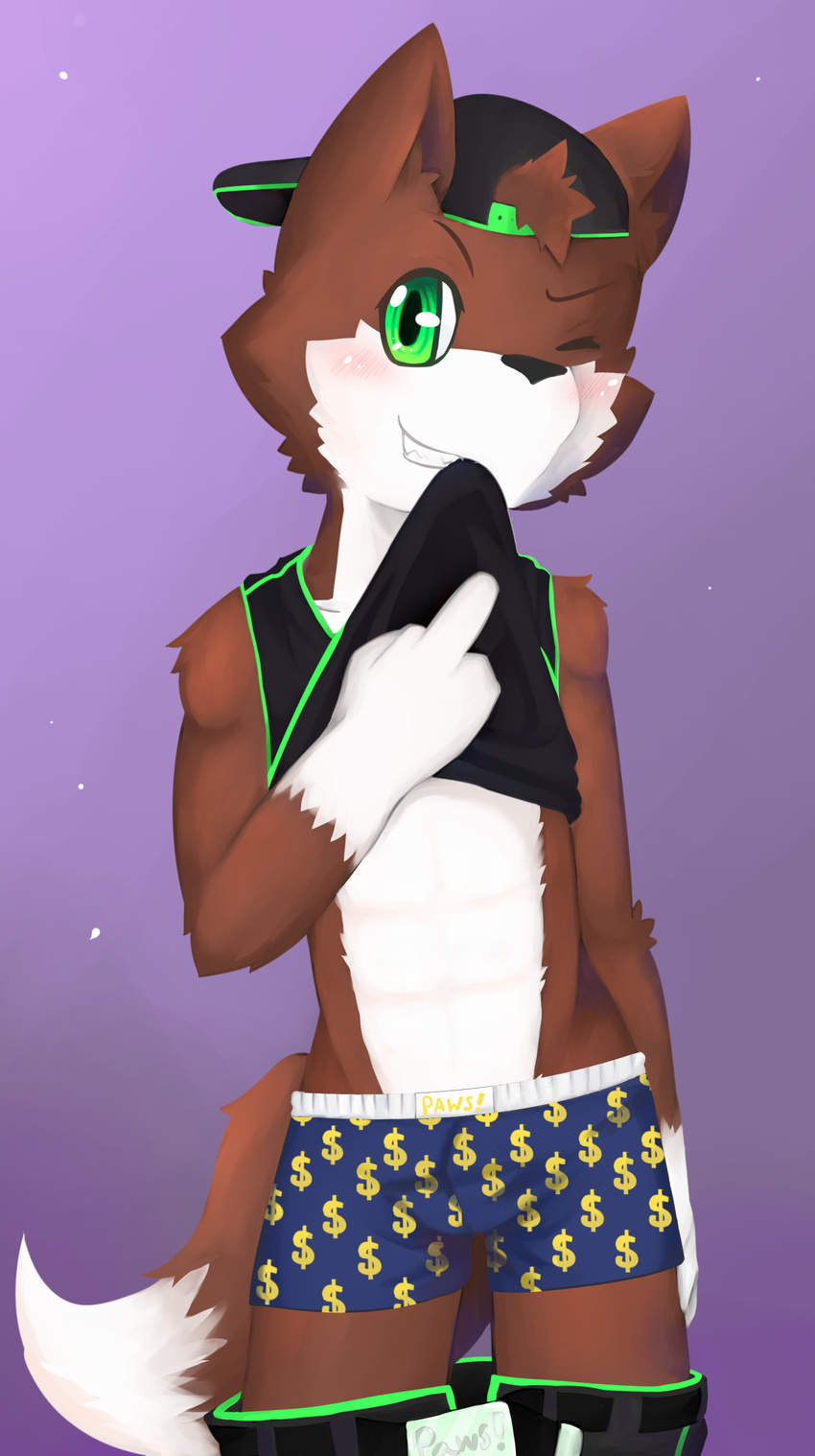 backwards_cap blush boxers_(clothing) brown_fur bulge canine clothed clothing clothing_lift cub fox fur green_eyes kake0078 male mammal middle_finger navel one_eye_closed shirt shirt_lift simple_background solo teenager underwear white_fur young