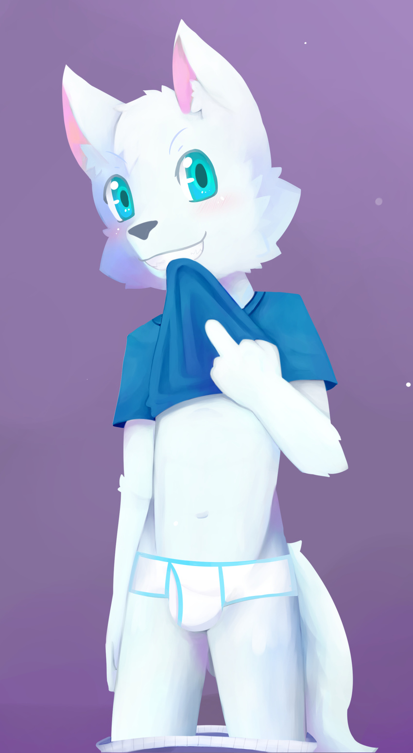 blue_eyes blush boxers_(clothing) briefs bulge canine clothed clothing clothing_lift cub fox fur kake0078 male mammal middle_finger navel shirt shirt_lift simple_background solo teenager underwear white_fur young