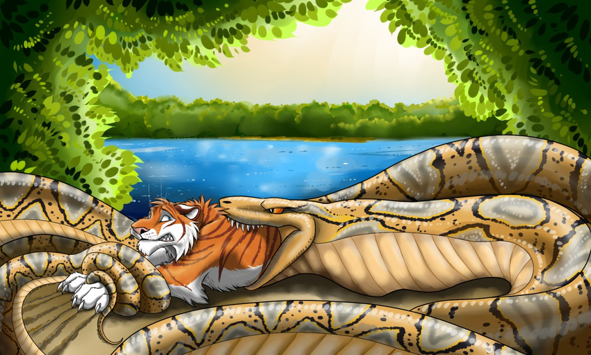 2015 blue_eyes brown_fur brown_stripes claw_marks claws detailed_background digital_media_(artwork) duo ears_back eating feet_first feline feral forest fur kotya-ra kyron male mammal multicolored_scales oral_vore orange_fur outside pink_nose reptile restrained river sand scales scalie scared sharp_teeth size_difference snake striped_fur stripes swallowing teeth tiger tree vore water whiskers white_fur yellow_eyes