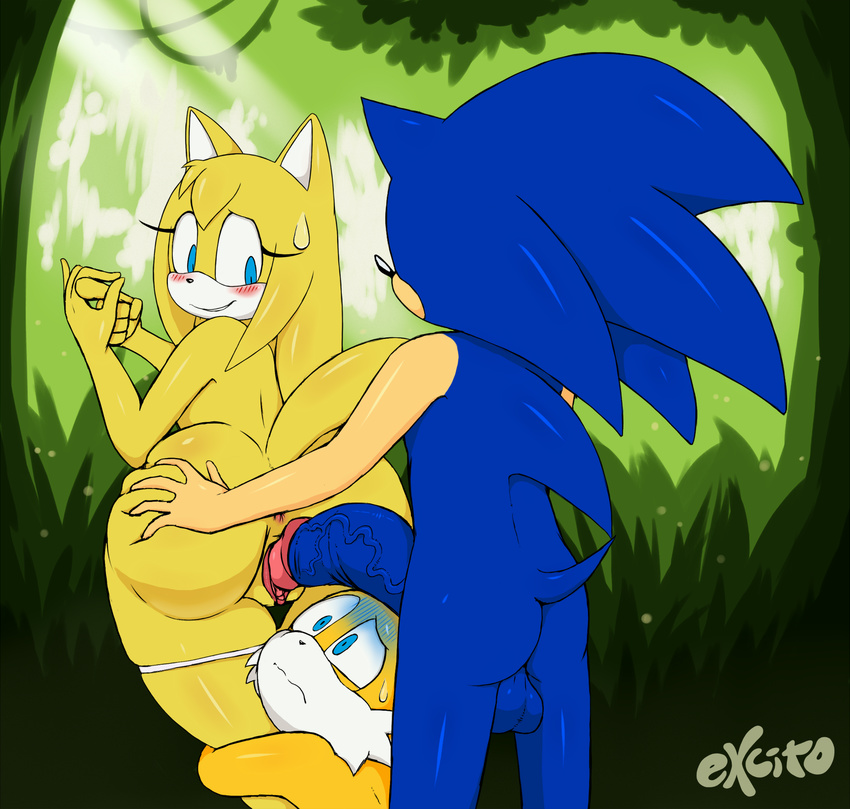 adultery canine colored cuckold excito fox from_behind_position hedgehog jungle mammal miles miles_prower netorare ntr penis prower public pussy sex sonic_(series) sonic_the_hedgehog zooey zooey_the_fox