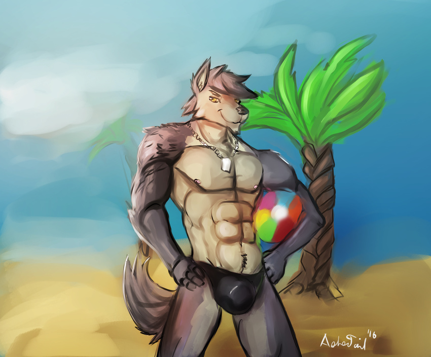 abs anthro ashertail ball beach beach_ball bulge canine clothing dog dog_tags fur grey_fur husky kouya_(morenatsu) mammal morenatsu muscular palm_tree pecs seaside solo speedo swimsuit tree