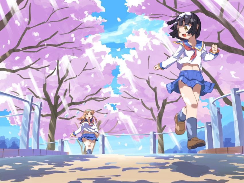 cherry_blossoms highres school_uniform seifuku serafuku wallpaper