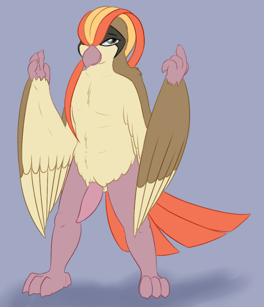 animal_genitalia animal_penis anthro anthrofied avian beak bird brown_fur chest_tuft claws erection feathered_wings feathers front_view fur grey_eyes hair half-closed_eyes looking_at_viewer male multicolored_hair nintendo nude penis pidgeot pok&eacute;mon posexe presenting simple_background solo spread_legs spreading standing tapering_penis tuft video_games white_fur wings