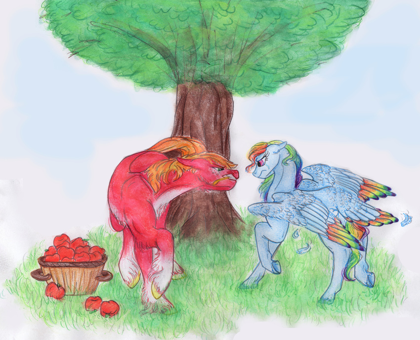 apple big_macintosh_(mlp) blue_feathers blue_fur dawn22eagle duo equine feathered_wings feathers female food friendship_is_magic frown fruit fur grass green_eyes hair hooves male mammal multicolored_feathers multicolored_hair my_little_pony orange_hair pegasus pink_eyes rainbow_dash_(mlp) rainbow_feathers rainbow_hair red_fur simple_background standing traditional_media_(artwork) tree white_background wings