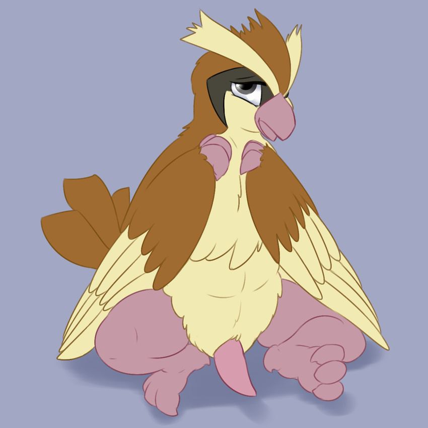 animal_genitalia anthro anthrofied avian beak bird brown_fur chest_tuft claws erection feathered_wings feathers fur grey_eyes half-closed_eyes head_tuft looking_at_viewer male nintendo nude open_mouth penis pidgey pok&eacute;mon posexe presenting shy simple_background sitting slightly_chubby solo spread_legs spreading tapering_penis tuft video_games white_fur wings