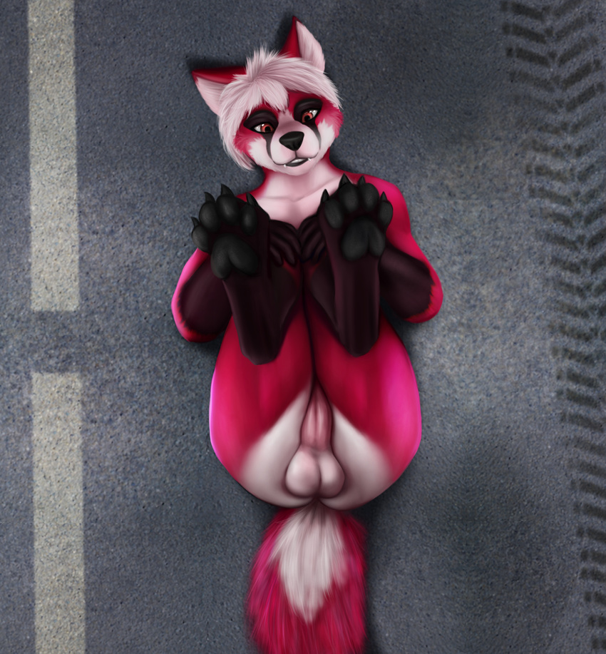 2016 4_toes anthro balls bird's-eye_view black_fur black_nose black_pawpads brown_eyes brown_fur butt canine claws digital_media_(artwork) digitigrade fox fur hair hi_res high-angle_view humanoid_penis legs_up lying male mammal multicolored_fur nude nue on_back outside paintchaser pawpads paws penis red_fur road short_hair solo toe_claws toes white_fur white_hair
