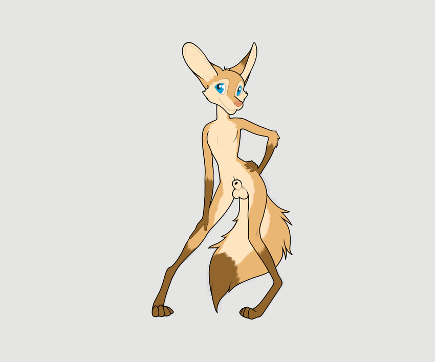 2016 animal_genitalia anthro balls blue_eyes canine fluffy fluffy_tail fox fur greatredfoxwolf hi_res looking_at_viewer male mammal nude orange_fur paws sheath simple_background smile solo white_fur